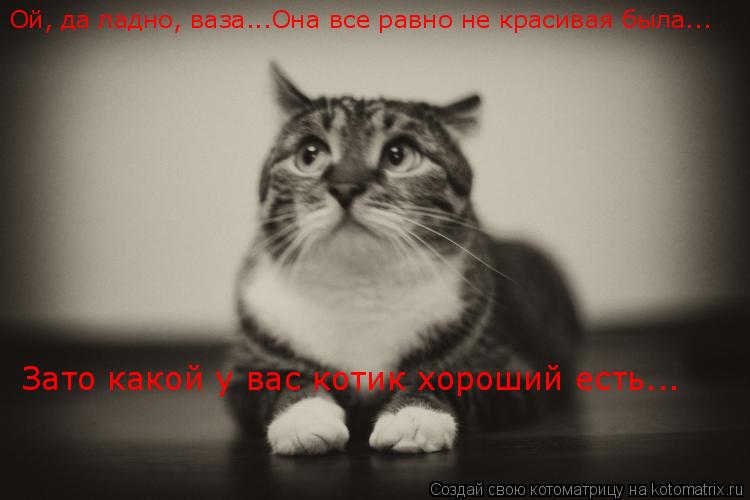 Котоматрица: Ой, да ладно, ваза...Она все равно не красивая была... Зато какой у вас котик хороший есть...