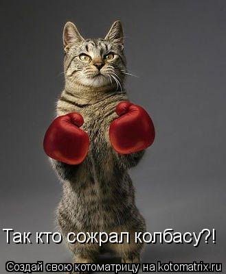 Так кто сожрал колбасу?!... Котоматрица: Так кто сожрал колбасу?!