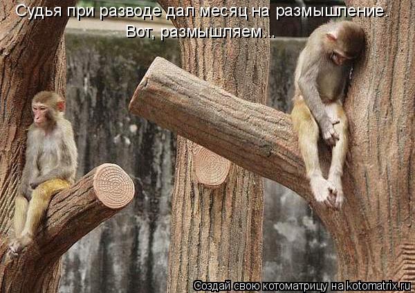 Судья при разводе дал месяц на размышление. Вот, размышляем...... Котоматрица: Судья при разводе дал месяц на размышление. Вот, размышляем...