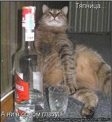 Тяпница... А ни в одном глазу!... Котоматрица: Тяпница... А ни в одном глазу!