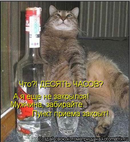 Что?! ДЕСЯТЬ ЧАСОВ? А я еще не закрылся! Мужчина, забирайте. Пункт приема закрыт!... Котоматрица: Что?! ДЕСЯТЬ ЧАСОВ? А я еще не закрылся! Мужчина, забирайте. Пункт приема закрыт!