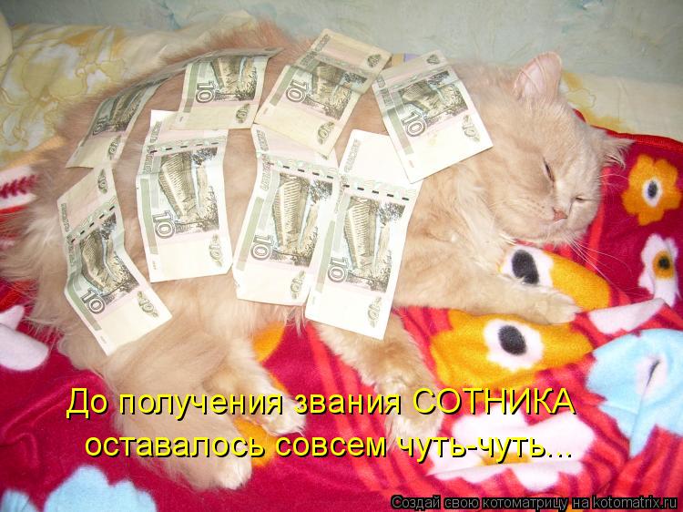 До получения звания СОТНИКА оставалось совсем чуть-чуть...... Котоматрица: До получения звания СОТНИКА оставалось совсем чуть-чуть...