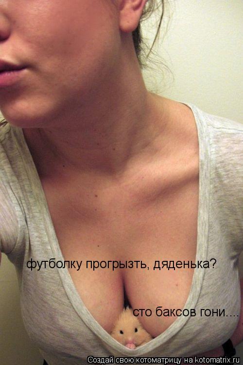 футболку прогрызть, дяденька? сто баксов гони....... Котоматрица: футболку прогрызть, дяденька? сто баксов гони....