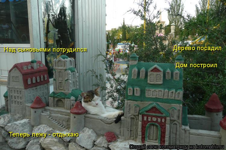 Дом построил Над сыновьями потрудился Теперь лежу - отдыхаю Дерево посадил... Котоматрица: Дом построил Над сыновьями потрудился Теперь лежу - отдыхаю Дерево посадил