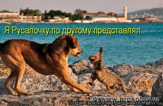 Я Русалочку по другому представлял...... Котоматрица: Я Русалочку по другому представлял...