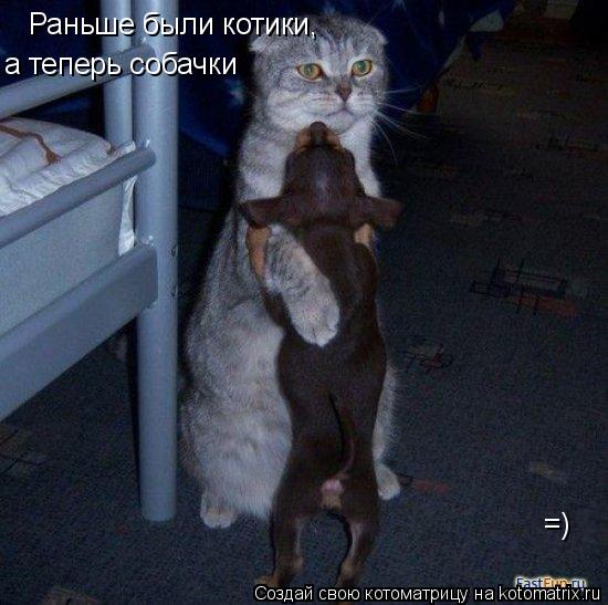 Раньше были котики, а теперь собачки =)... Котоматрица: Раньше были котики, а теперь собачки =)