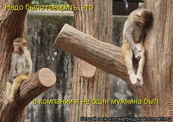 Надо было говорить, что в компании я не один мужчина был... Котоматрица: Надо было говорить, что в компании я не один мужчина был