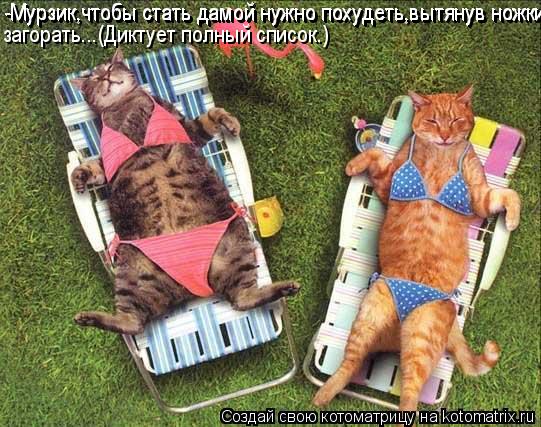 -Мурзик,чтобы стать дамой нужно похудеть,вытянув ножки загорать,.. -Мурзик,чтобы стать дамой нужно по... Котоматрица: -Мурзик,чтобы стать дамой нужно похудеть,вытянув ножки загорать,.. -Мурзик,чтобы стать дамой нужно похудеть,вытянув ножки загорать...(Диктуе
