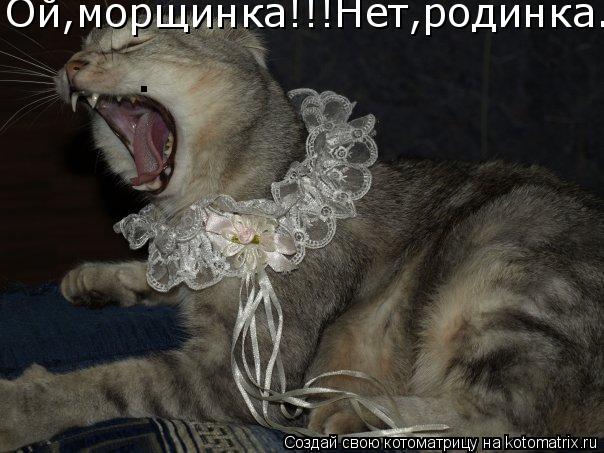 . Ой,морщинка!!!Нет,родинка...... Котоматрица: . Ой,морщинка!!!Нет,родинка...