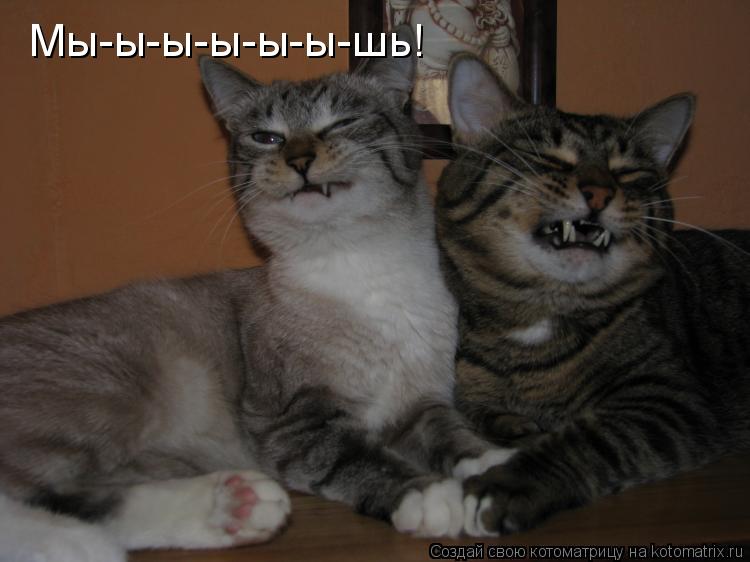 Мы-ы-ы-ы-ы-ы-шь!... Котоматрица: Мы-ы-ы-ы-ы-ы-шь!