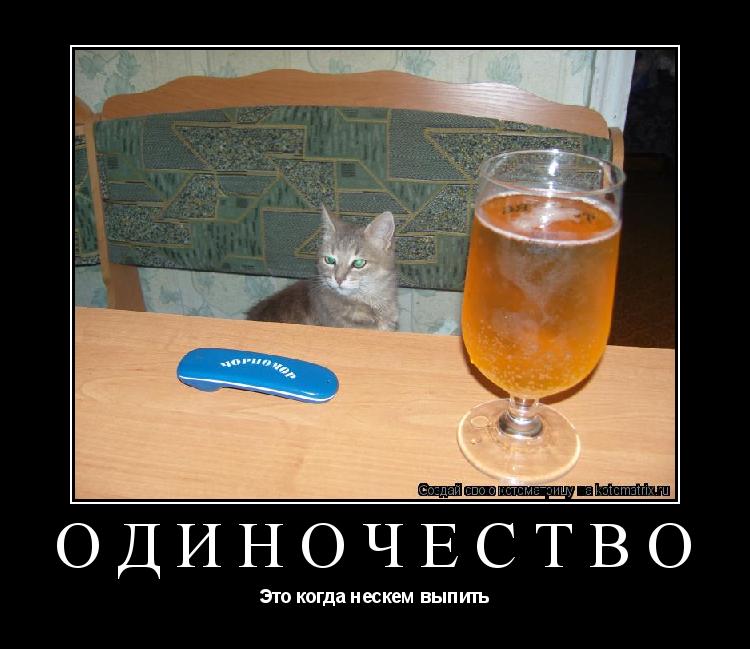Одиночество Это когда нескем выпить... Котоматрица: Одиночество Это когда нескем выпить