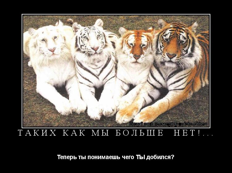 Таких как мы больше нет!... Теперь ты понимаешь чего ТЫ добился?... Котоматрица: Таких как мы больше нет!... Теперь ты понимаешь чего ТЫ добился?