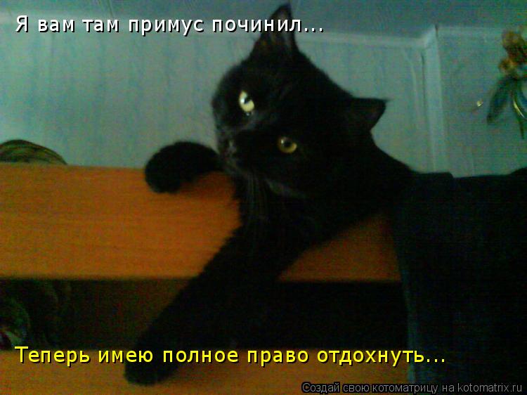 Я вам там примус починил... Теперь имею полное право отдохнуть...... Котоматрица: Я вам там примус починил... Теперь имею полное право отдохнуть...