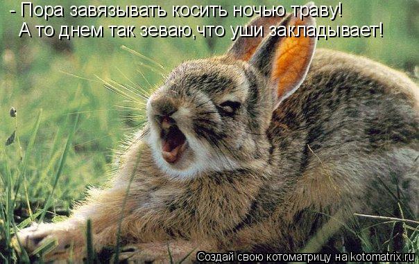 - Пора завязывать косить ночью траву! А то днем так зеваю,что уши закладывает!... Котоматрица: - Пора завязывать косить ночью траву! А то днем так зеваю,что уши закладывает!