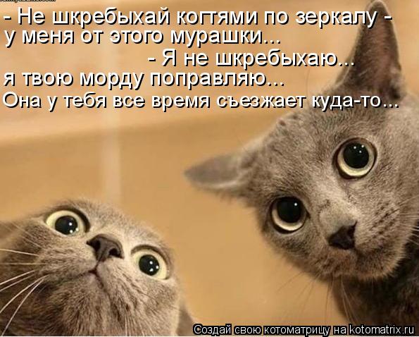- Не шкребыхай когтями по зеркалу - у меня от этого мурашки... - Я не шкребыхаю... я твою морду попр... Котоматрица: - Не шкребыхай когтями по зеркалу - у меня от этого мурашки... - Я не шкребыхаю... я твою морду поправляю... Она у тебя все время съезжает куда-то.