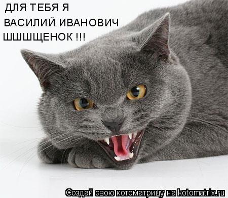 ДЛЯ ТЕБЯ Я ВАСИЛИЙ ИВАНОВИЧ ШШШЩЕНОК !!!... Котоматрица: ДЛЯ ТЕБЯ Я ВАСИЛИЙ ИВАНОВИЧ ШШШЩЕНОК !!!