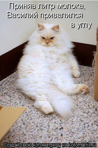 Приняв литр молока, Василий привалился в углу... Котоматрица: Приняв литр молока, Василий привалился в углу