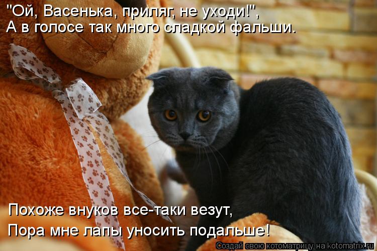 "Ой, Васенька, приляг, не уходи!", А в голосе так много сладкой фальши. Пора мне лапы уносить подальш... Котоматрица: "Ой, Васенька, приляг, не уходи!", А в голосе так много сладкой фальши. Пора мне лапы уносить подальше! Похоже внуков все-таки везут,