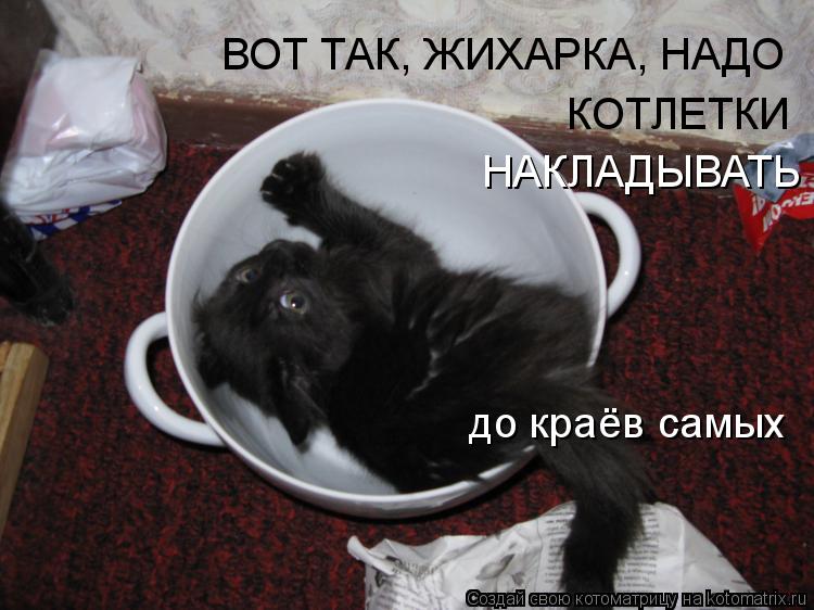 ВОТ ТАК, ЖИХАРКА, НАДО КОТЛЕТКИ НАКЛАДЫВАТЬ до краёв самых... Котоматрица: ВОТ ТАК, ЖИХАРКА, НАДО КОТЛЕТКИ НАКЛАДЫВАТЬ до краёв самых