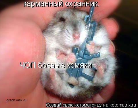 карманный охранник. ЧОП боевые хомяки... Котоматрица: карманный охранник. ЧОП боевые хомяки