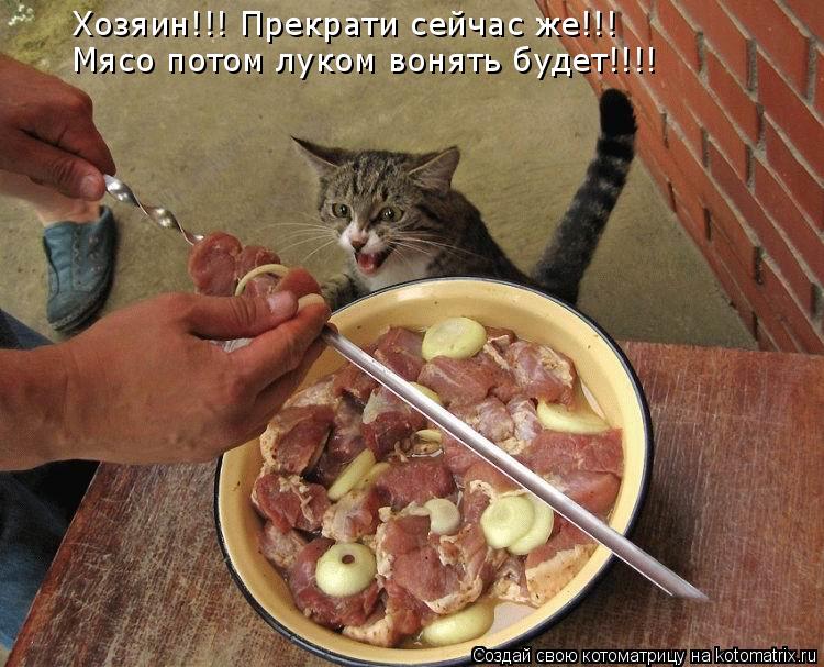 Хозяин!!! Прекрати сейчас же!!! Мясо потом луком вонять будет!!!!... Котоматрица: Хозяин!!! Прекрати сейчас же!!! Мясо потом луком вонять будет!!!!