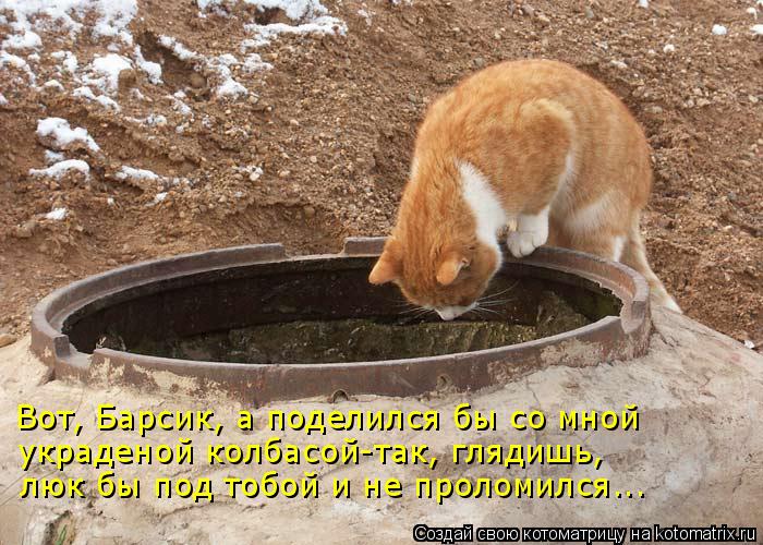 Вот, Барсик, а поделился бы со мной люк бы под тобой и не проломился... украденой колбасой-так, гляди... Котоматрица: Вот, Барсик, а поделился бы со мной люк бы под тобой и не проломился... украденой колбасой-так, глядишь,
