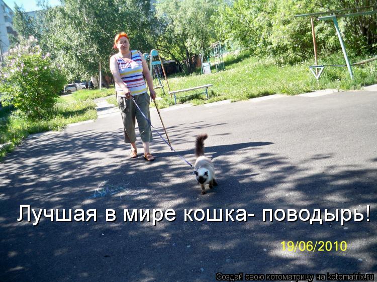 Лучшая в мире кошка- поводырь!... Котоматрица: Лучшая в мире кошка- поводырь!