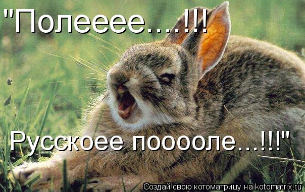 "Полееее....!!! Русскоее пооооле...!!!"... Котоматрица: "Полееее....!!! Русскоее пооооле...!!!"