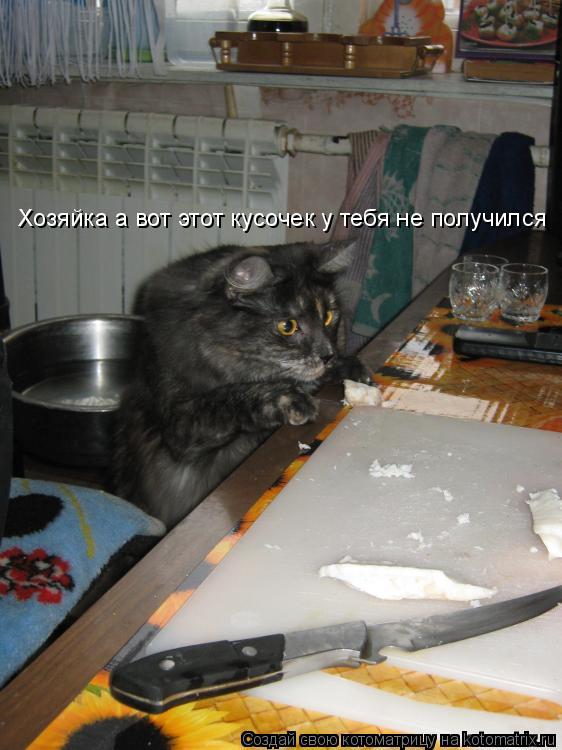 Хозяйка а вот этот кусочек у тебя не получился... Котоматрица: Хозяйка а вот этот кусочек у тебя не получился