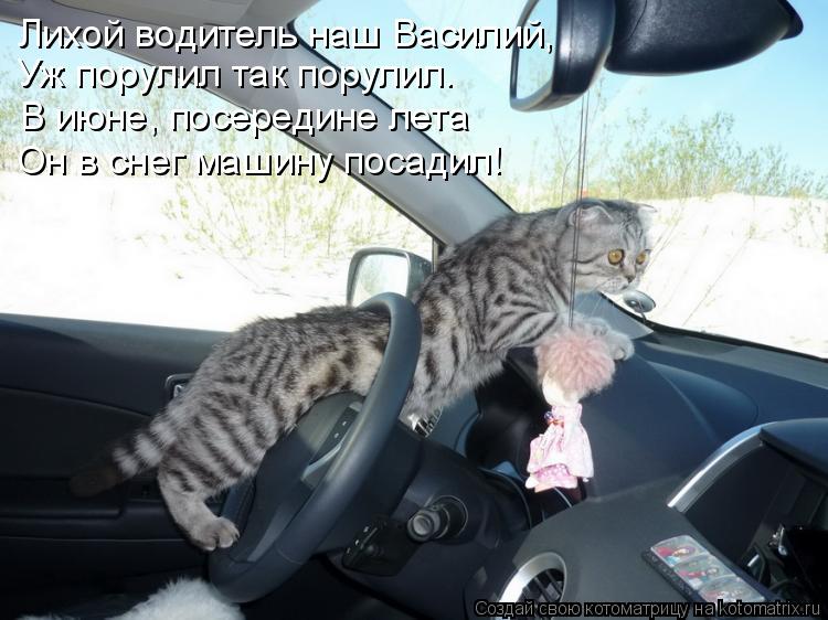 Лихой водитель наш Василий, Уж порулил так порулил. В июне, посередине лета Он в снег машину посадил!... Котоматрица: Лихой водитель наш Василий, Уж порулил так порулил. В июне, посередине лета Он в снег машину посадил!
