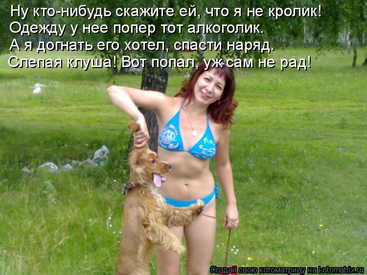 Котоматрица: Ну кто-нибудь скажите ей, что я не кролик! Одежду у нее попер тот алкоголик. А я догнать его хотел, спасти наряд. Слепая клуша! Вот попал, уж са