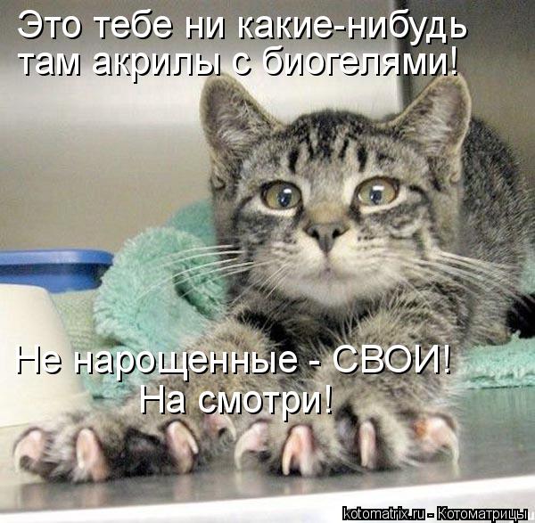 Это тебе ни какие-нибудь там акрилы с биогелями! Не нарощенные - СВОИ! На смотри!... Котоматрица: Это тебе ни какие-нибудь там акрилы с биогелями! Не нарощенные - СВОИ! На смотри!