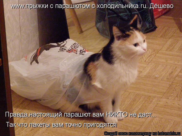 www.прыжки с парашютом с холодильника.ru. Дёшево Правда,настоящий парашют вам НИКТО не даст... Так чт... Котоматрица: www.прыжки с парашютом с холодильника.ru. Дёшево Правда,настоящий парашют вам НИКТО не даст... Так что пакеты вам точно пригодятся