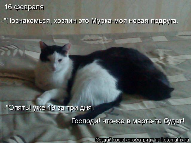 16 февраля -"Познакомься, хозяин это Мурка-моя новая подруга. -"Опять! уже 19 за три дня! Господи! чт... Котоматрица: 16 февраля -"Познакомься, хозяин это Мурка-моя новая подруга. -"Опять! уже 19 за три дня! Господи! что-же в марте-то будет!