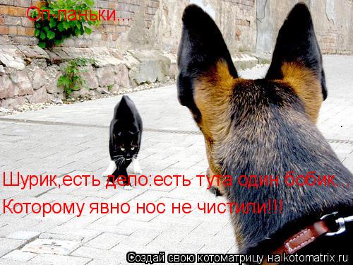 Оп-паньки... Шурик,есть дело:есть тута один бобик... Которому явно нос не чистили!!!... Котоматрица: Оп-паньки... Шурик,есть дело:есть тута один бобик... Которому явно нос не чистили!!!
