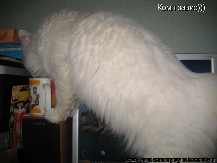 Комп завис)))... Котоматрица: Комп завис)))