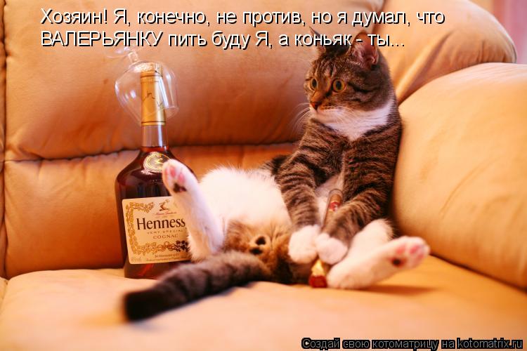 Хозяин! Я, конечно, не против, но я думал, что ВАЛЕРЬЯНКУ пить буду Я, а коньяк - ты...... Котоматрица: Хозяин! Я, конечно, не против, но я думал, что ВАЛЕРЬЯНКУ пить буду Я, а коньяк - ты...