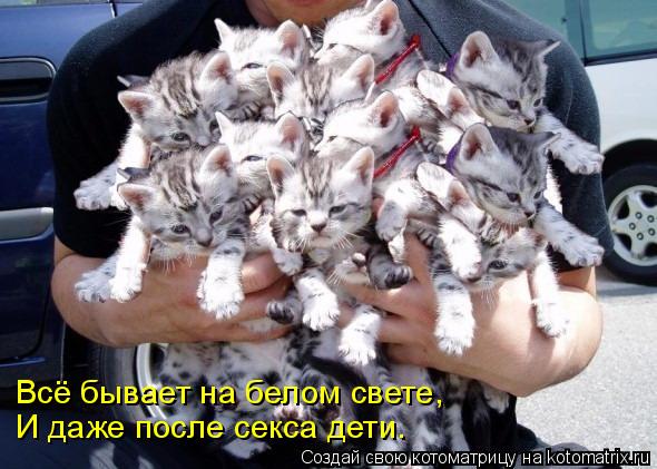 Всё бывает на белом свете, И даже после секса дети.... Котоматрица: Всё бывает на белом свете, И даже после секса дети.