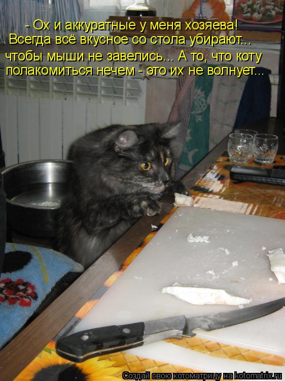 - Ох и аккуратные у меня хозяева! чтобы мыши не завелись... А то, что коту полакомиться нечем - это и... Котоматрица: - Ох и аккуратные у меня хозяева! чтобы мыши не завелись... А то, что коту полакомиться нечем - это их не волнует... Всегда всё вкусное со стола у