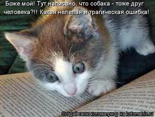 Котоматрица: Боже мой! Тут написано, что собака - тоже друг  человека?!! Какая нелепая и трагическая ошибка!