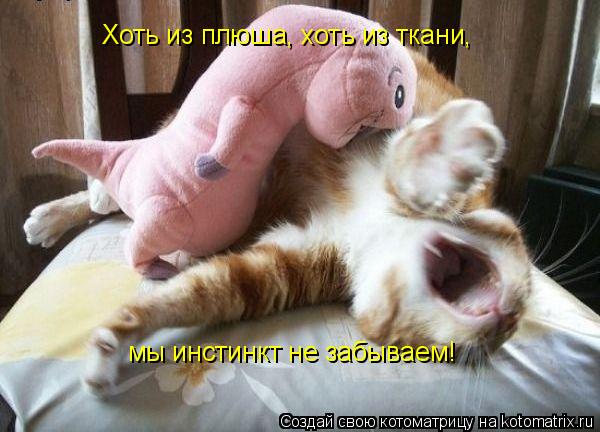 Хоть из плюша, хоть из ткани, мы инстинкт не забываем!... Котоматрица: Хоть из плюша, хоть из ткани, мы инстинкт не забываем!