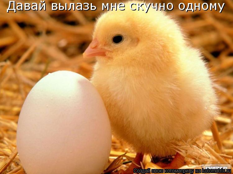Давай вылазь мне скучно одному... Котоматрица: Давай вылазь мне скучно одному