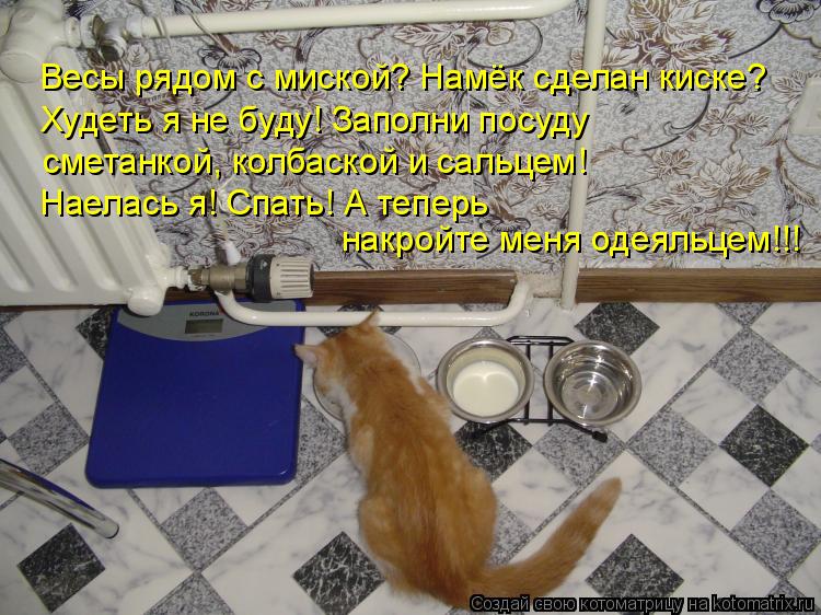 Весы рядом с миской? Намёк сделан киске? Худеть я не буду! Заполни посуду сметанкой, колбаской и саль... Котоматрица: Весы рядом с миской? Намёк сделан киске? Худеть я не буду! Заполни посуду сметанкой, колбаской и сальцем! Наелась я! Спать! А теперь накройте