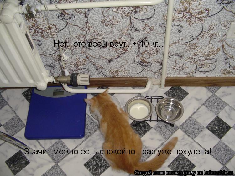 Значит можно есть спокойно...раз уже похудела! Нет...это весы врут...+ 10 кг...... Котоматрица: Значит можно есть спокойно...раз уже похудела! Нет...это весы врут...+ 10 кг...