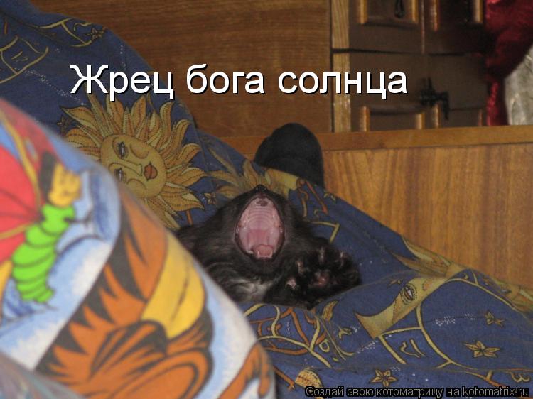Жрец бога солнца... Котоматрица: Жрец бога солнца