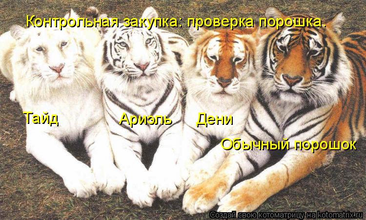 Контрольная закупка: проверка порошка. Тайд Ариэль Дени Обычный порошок... Котоматрица: Контрольная закупка: проверка порошка. Тайд Ариэль Дени Обычный порошок
