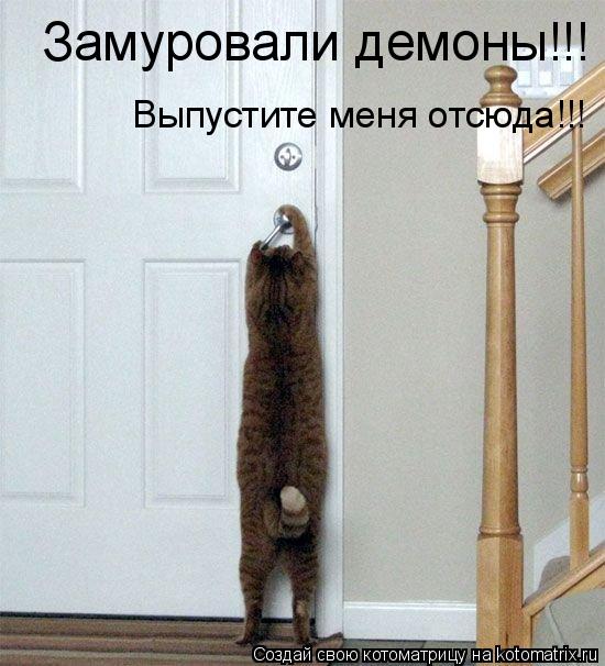 Замуровали демоны!!! Выпустите меня отсюда!!!... Котоматрица: Замуровали демоны!!! Выпустите меня отсюда!!!