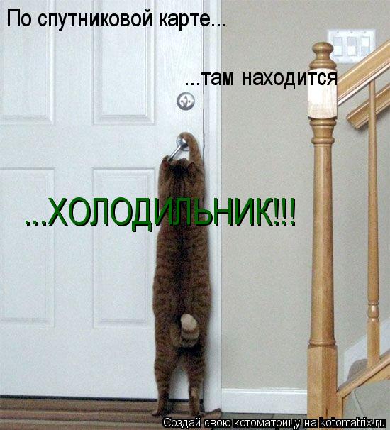 По спутниковой карте... ...там находится ...ХОЛОДИЛЬНИК!!!... Котоматрица: По спутниковой карте... ...там находится ...ХОЛОДИЛЬНИК!!!
