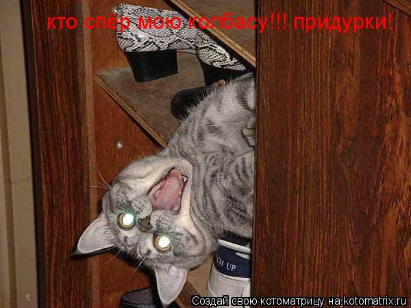 кто спёр мою колбасу!!! придурки!... Котоматрица: кто спёр мою колбасу!!! придурки!