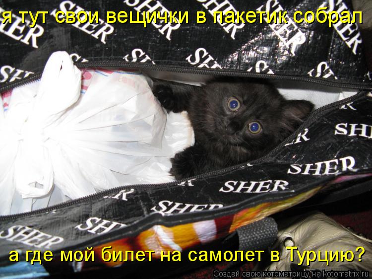 я тут свои вещички в пакетик собрал а где мой билет на самолет в Турцию?... Котоматрица: я тут свои вещички в пакетик собрал а где мой билет на самолет в Турцию?